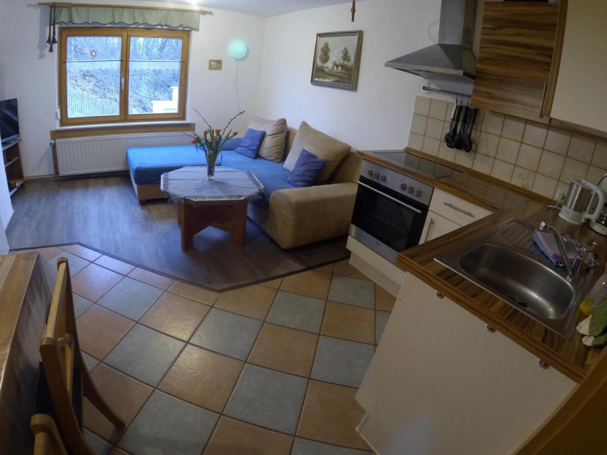 Berghof Apartment Zeulenroda-Triebes Cameră foto
